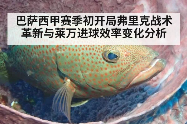 巴萨西甲赛季初开局弗里克战术革新与莱万进球效率变化分析